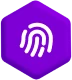 Agent KYC Controls